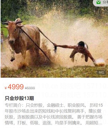 股哥训练营《只会炒股》第13期插图