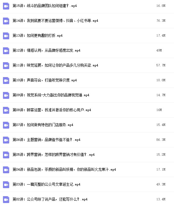 茶颜悦色爆红秘籍-品牌打造实战课程(15节)插图