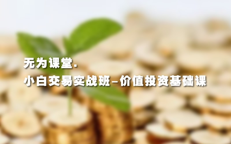 无为老师：无为课堂小白交易实战班-价值投资基础课