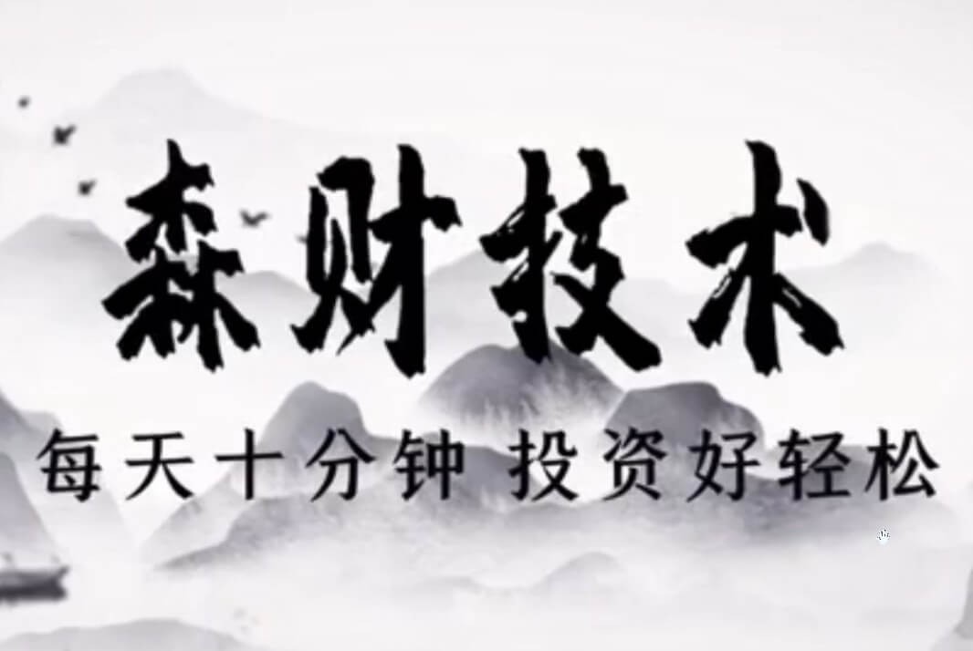 蔡森：森财技术每天10分钟投资好轻松-2021年【视频教程】插图