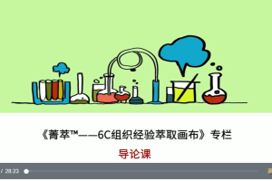 《6C组织经验萃取画布》视频课程