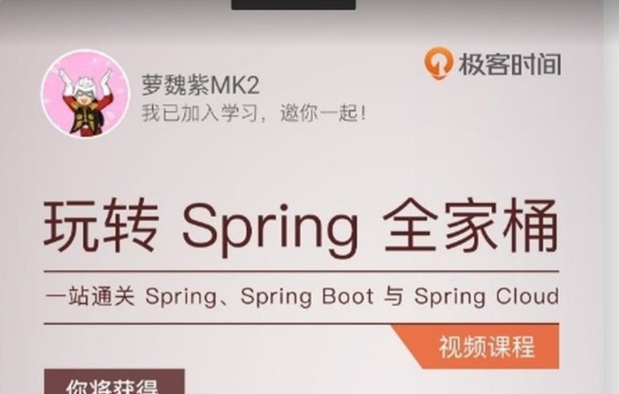 极客《玩转Spring全家桶》Facebook工程师带你吃透大厂面试题