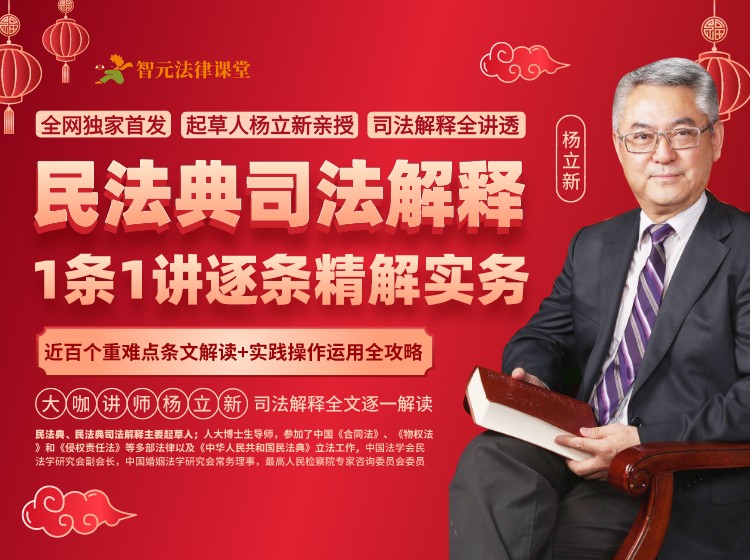 【杨立新】民法典司法解释1条1讲逐条精解实务