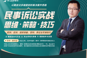 民事诉讼实战攻略：思维·策略·技巧【杨中洁】