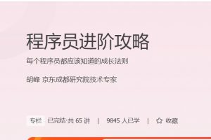 极客时间《程序员进阶攻略》思考、剖析、拆解程序员实际困惑与问题