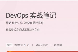 极客时间《DevOps实战笔记》精要 30 计，让 DevOps 快速落地