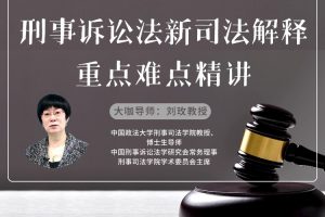 【刘玫】刑事诉讼法新司法解释重点难点精讲