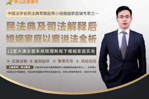 民法典及司法解释后：婚姻家庭以案说法全析【陈汉】