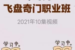 宋奇鸿老师2021飞盘奇门职业班（10集）