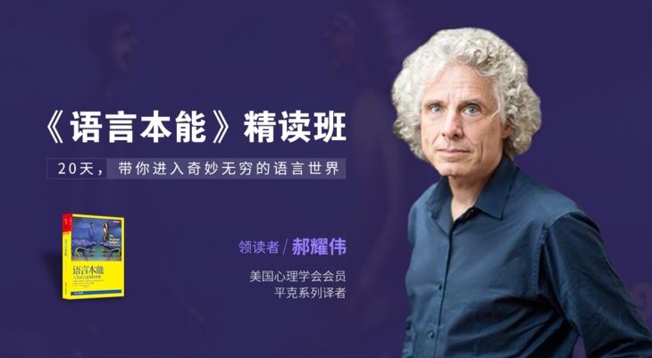 郝耀伟《语言本能》精读班，20天带你进入奇妙无比语言世界插图