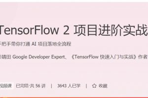 极客时间《TensorFlow2项目进阶实战》手把手带你打通 AI 项目落地全流程