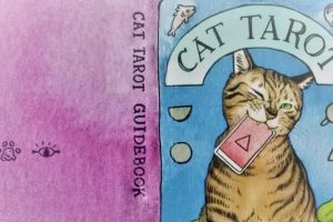 《猫六塔罗牌》牌意讲解