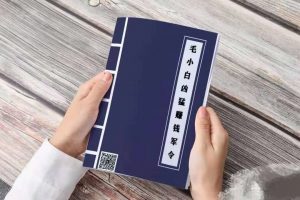 毛小白凶猛赚钱军令