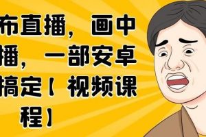 无绿布直播画中画直播，一部安卓手机搞定