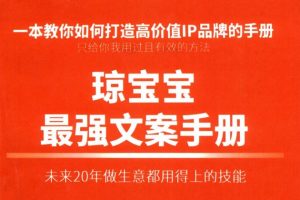 《琼宝宝最强文案》未来20年做生意都用得上的技能