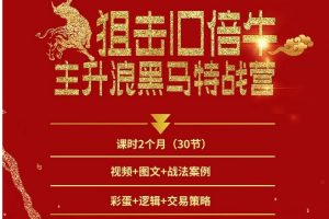 【一刀战法】刀哥主升浪黑马特战营