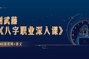谢武藤《八字职业深入课》48讲视频+讲义