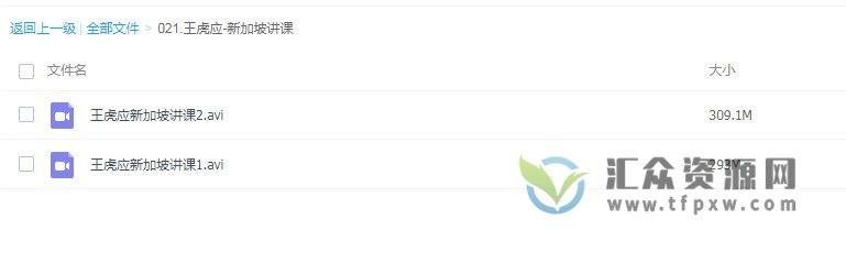 王虎应-新加坡讲课插图
