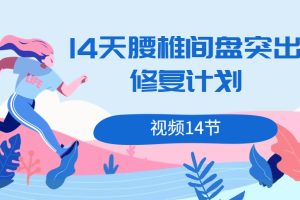 《14天腰椎间盘突出修复计划》视频14节