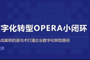 【三节课】数字化转型OPERA小闭环