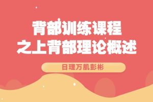 日理万肌彭彬-背部课程之上背部理论概述