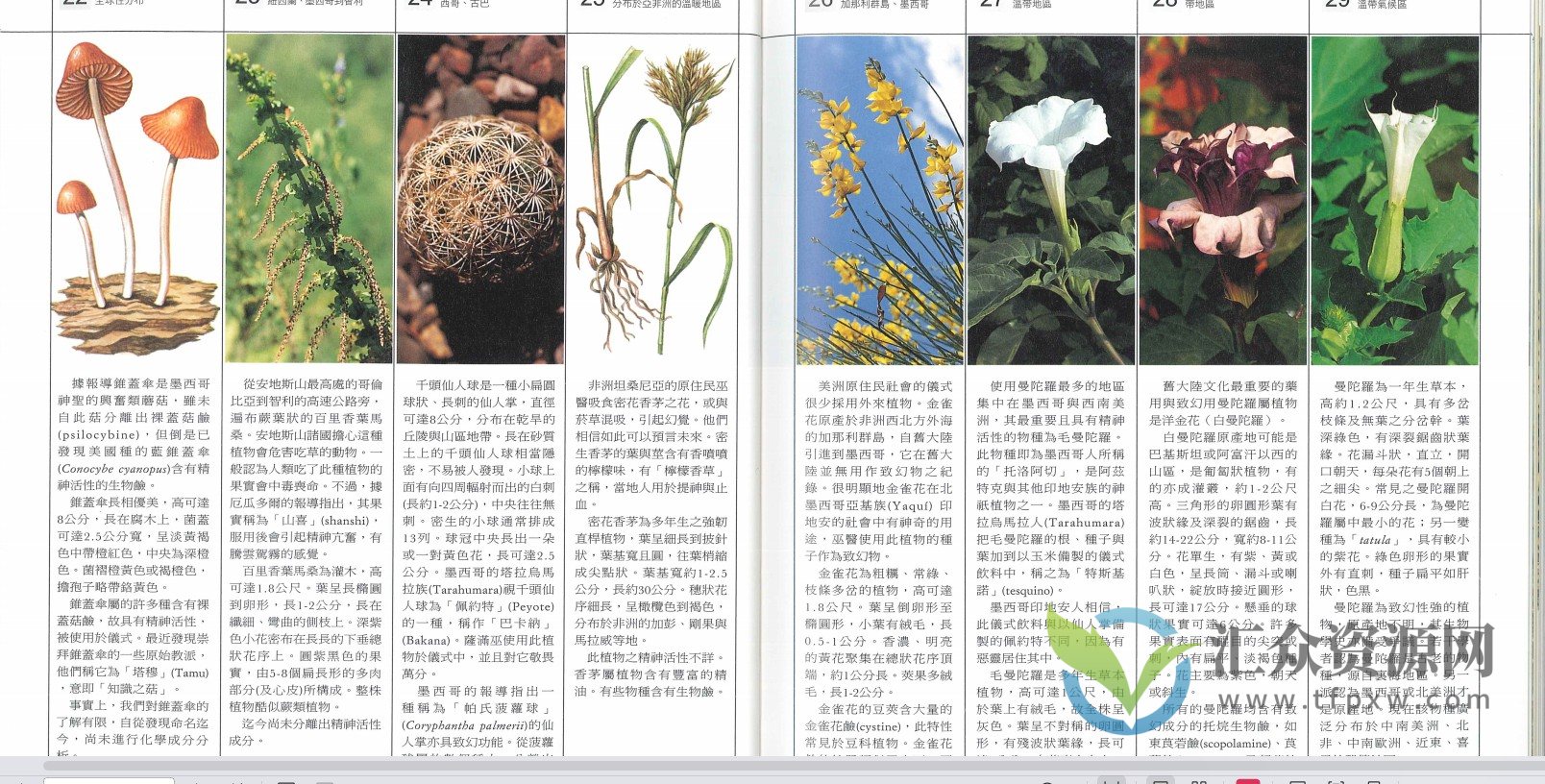 《众神的植物》电子版PDF插图4