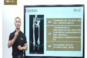 毕博士《一张床搞定全身拉伸》