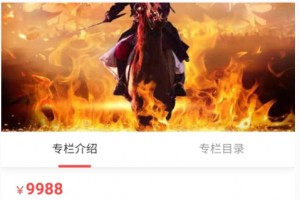 【一叶孤城】2022年一叶孤城小密圈–价值投资老手(持续更新)