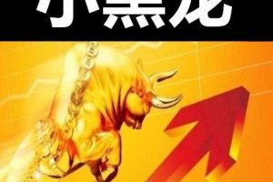 小黑龙2022年周末讲座（持续更新）