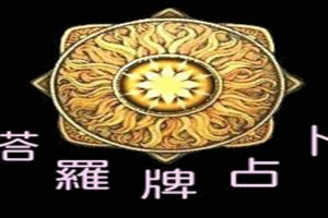 艾米老师塔罗牌视频教程