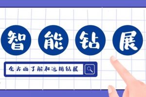 智能钻展，深度解析系列课程（11节）