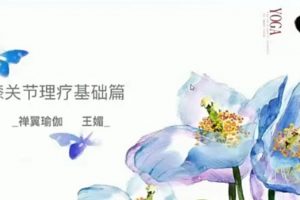 王媚-疗愈膝关节疼痛（基础篇）