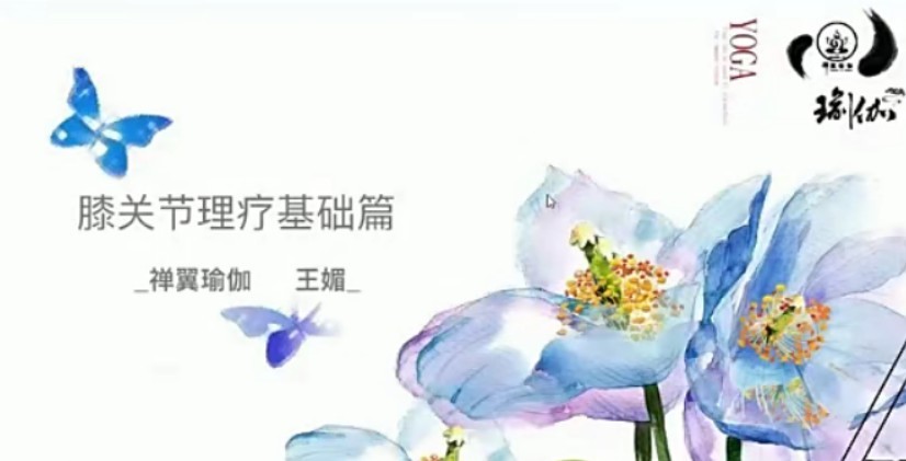 王媚-疗愈膝关节疼痛（基础篇）插图