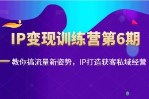 群响刘老板《IP变现训练营》第6期，教你搞流量新姿势，IP打造获客私域经营