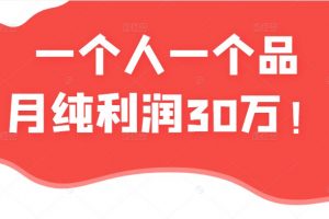 某大V付费文章：单人单品月赚30万蓝海电商经典案例（一文档）