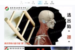 苗振七天私教完整课程