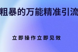 2022最新万能精准引流技巧，简单粗暴，操作后立即见效