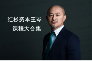 红杉资本王岑：新消费品牌增长实战打法与案例