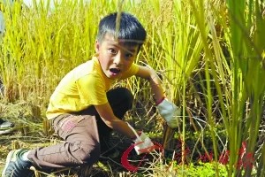 如何与孩子正确的沟通？插图4