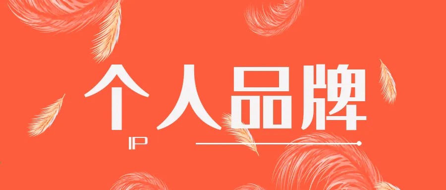 IP定位：网红的自我塑造与商业设计插图