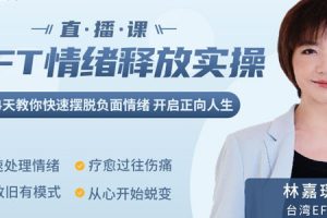 【林嘉瑗】EFT情绪释放实操视频课程百度云下载