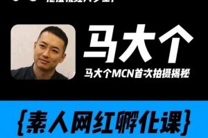 马大个素人网红孵化课百度云下载