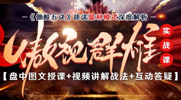 【一哥】一身傲股《傲视群雄VIP实战课》百度云下载插图