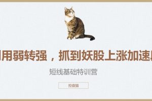 【控盘猫】2020年短线基础特训营，控盘猫翻倍计划（视频+讲义）