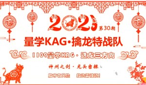 【仲展】龙头密探白马密探第30期课程
