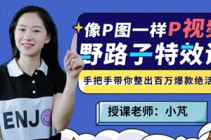野路子特效课：像P图一样“P”视频课程百度云下载