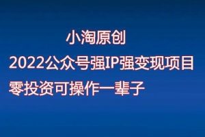 小淘2022公众号强IP强变现项目，零投资可长期操作