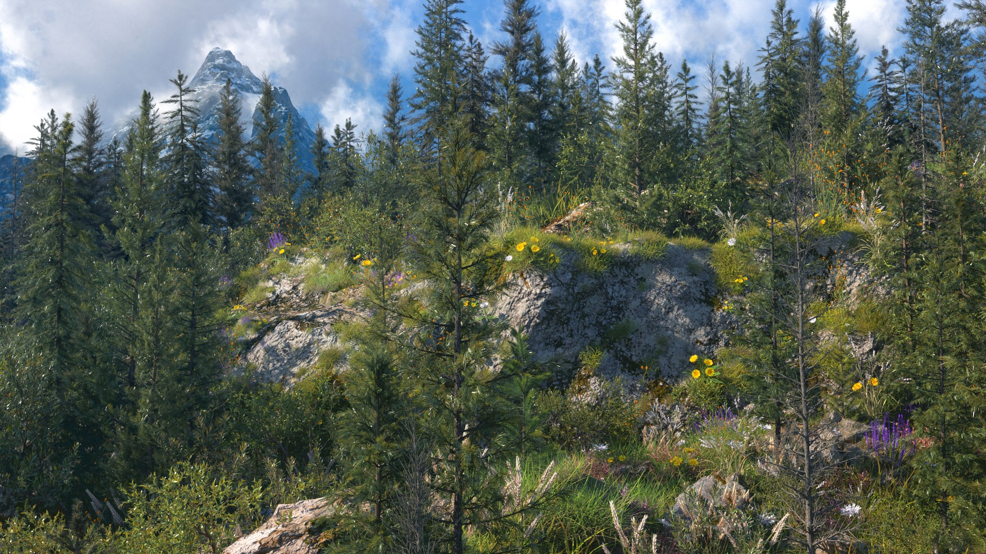 青之巅【宋蚊子】雪山松林V2版本插图1