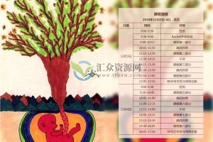 【塔罗占卜】瑞秋奶奶塔罗牌教程（基础课+大师课）