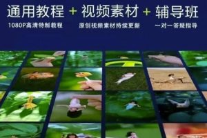 波妞波力的视频通用教程视频素材辅导班